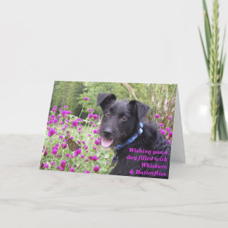 Monarken önskar kortet kort