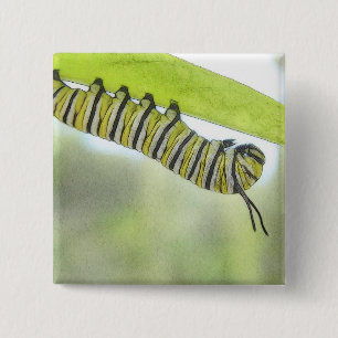 Monarkfjäril Caterpillar som undersöker en Knapp