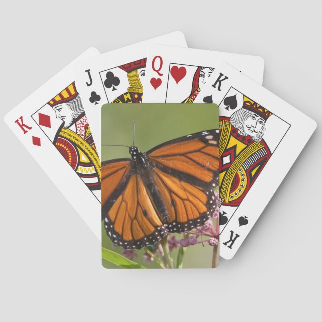 Monarkfjäril hanne på Sumpsträtta Spel Kort (Baksidan)
