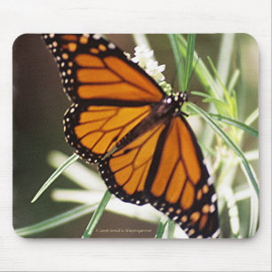 Monarkfjäril Mousepad Musmatta