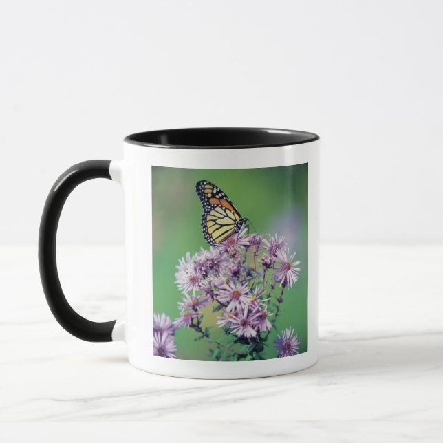 Monarkfjäril Mugg (Vänster)