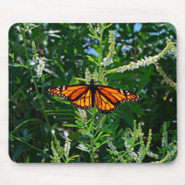 Monarkfjäril naturliga Mousepad Musmatta