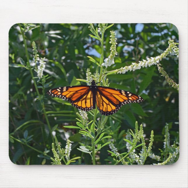 Monarkfjäril naturliga Mousepad Musmatta (Framsidan)