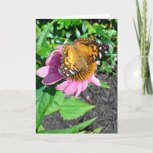 Monarkfjäril på Echinacea-blomma Kort