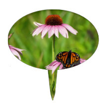 Monarkfjäril på en purpurfärgad coneflower