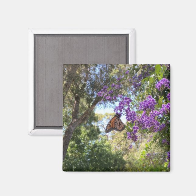 Monarkfjäril på lila blommor magnet (Front/Back)