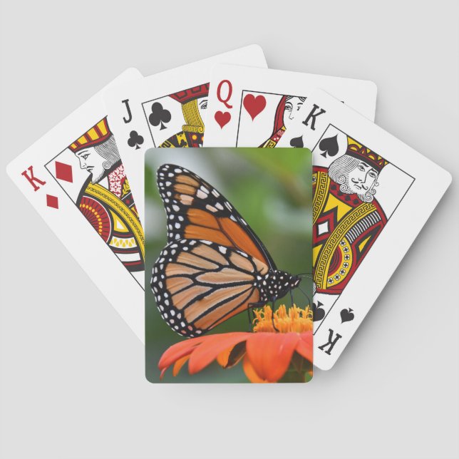 Monarkfjäril som leker kort casinokort (Baksidan)