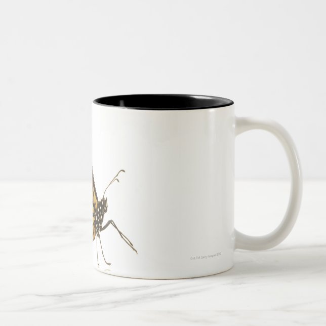 Monarkfjäril Två-Tonad Mugg (Höger)