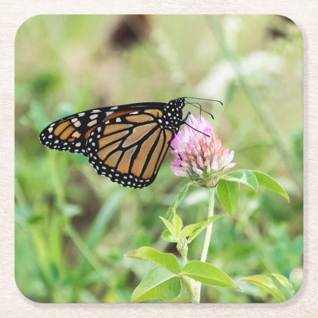 Monarkfjäril Underlägg Papper Kvadrat (Framsidan)