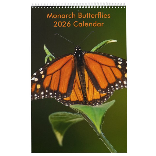 Monarkfjärilar Ensidig Kalender (Omslag)