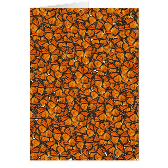 Monarkfjärilar Hälsningskort (Framsidan)