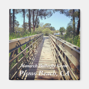 Monarkfjärilsdunge: Pismo strand, CA Magnet