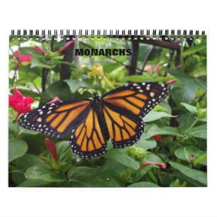 Monarkfjärilskalender Kalender