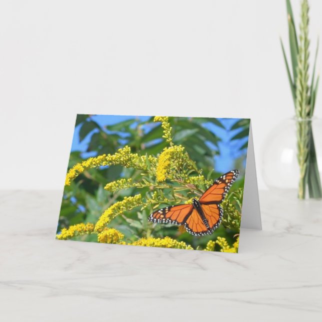 Monarki - Tomt gratulationskort Kort (Framsida)