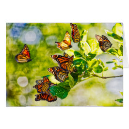 Monarksammankomst OBS Kort