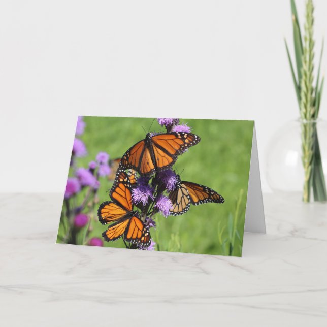 MonarkTrio Kort (Framsida)