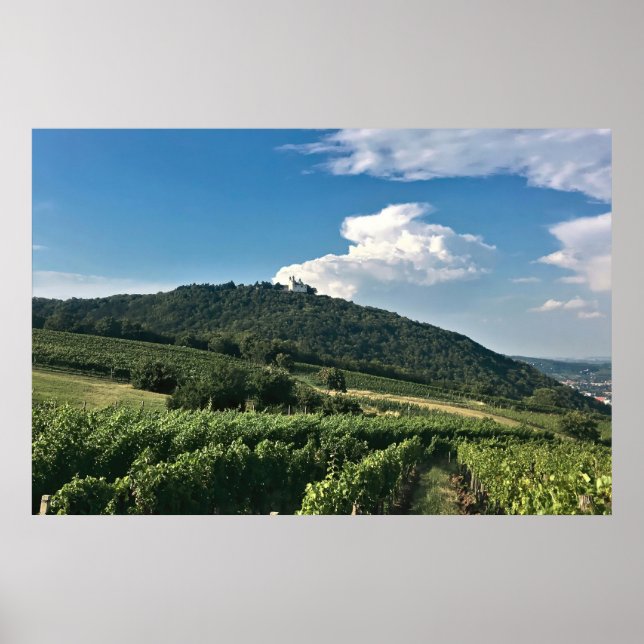 Monastary och Vineyard Poster (Framsidan)
