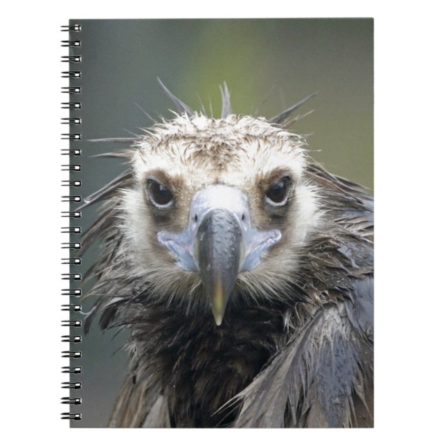 Mönchsgeier Anteckningsbok (Framsidan)