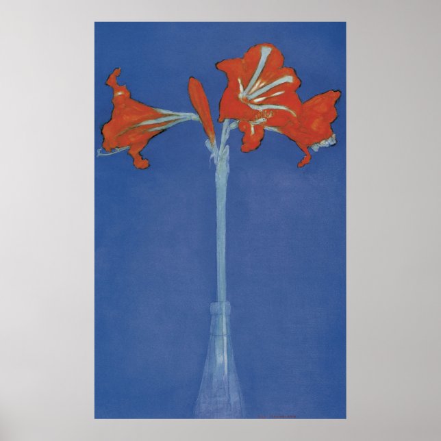 Mondrian Amaryllis i Flash Poster (Framsidan)