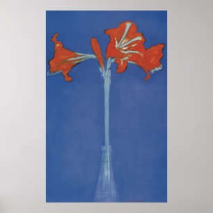 Mondrian Amaryllis omgående Poster