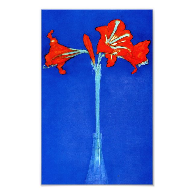 Mondrian Amaryllis-utskrift Fototryck (Framsidan)
