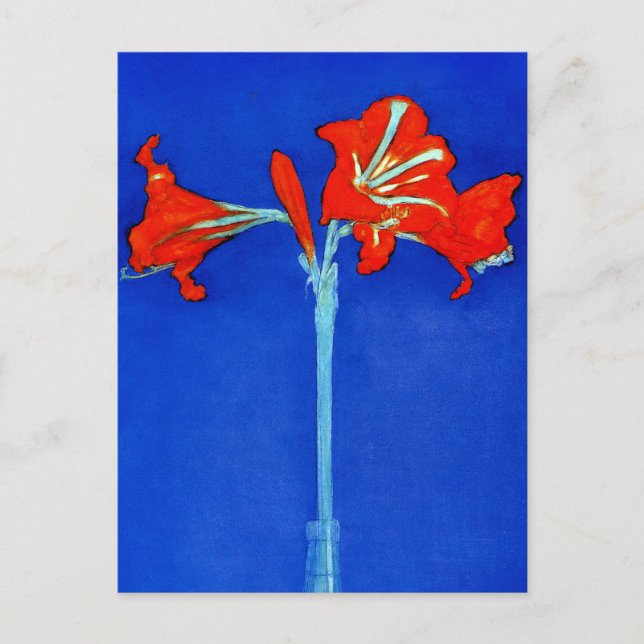 Mondrian Amaryllis vykort (Framsida)