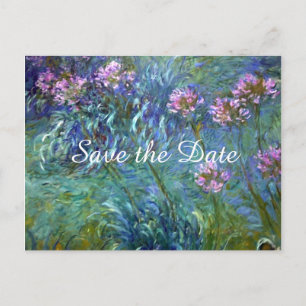 Monet Agapanthus Blommor Spara Datum Bröllop Meddelande Vykort