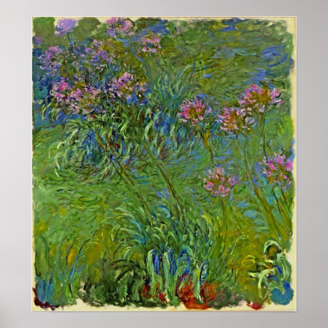 Monet - Agapanthusblommor 1917 Poster (Framsidan)