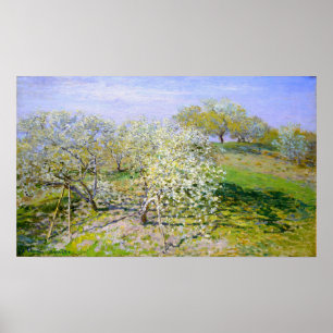 Monet - Äpple Träd i Bloom 1873 Poster
