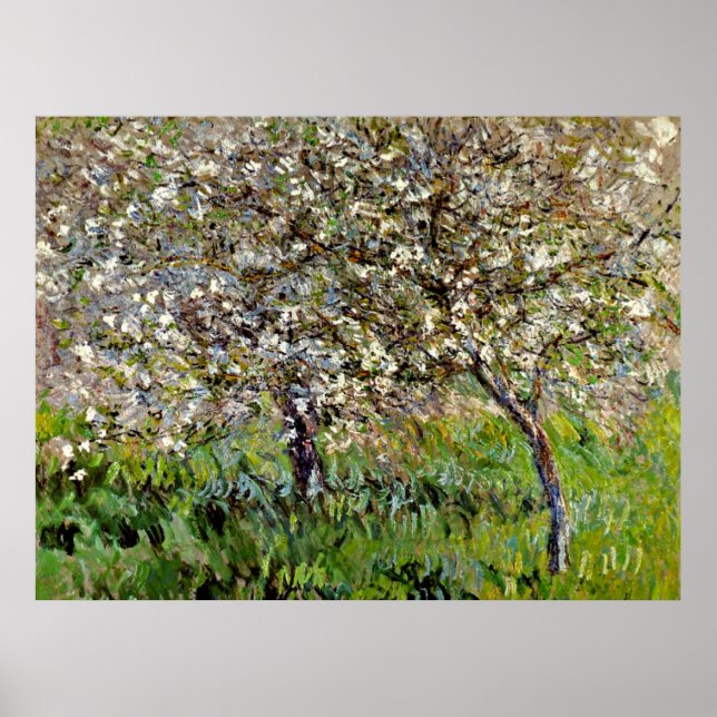 Monet - Äpple Träd i Bloom Poster (Framsidan)