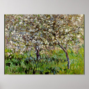 Monet - Äpple Träd i Bloom Poster