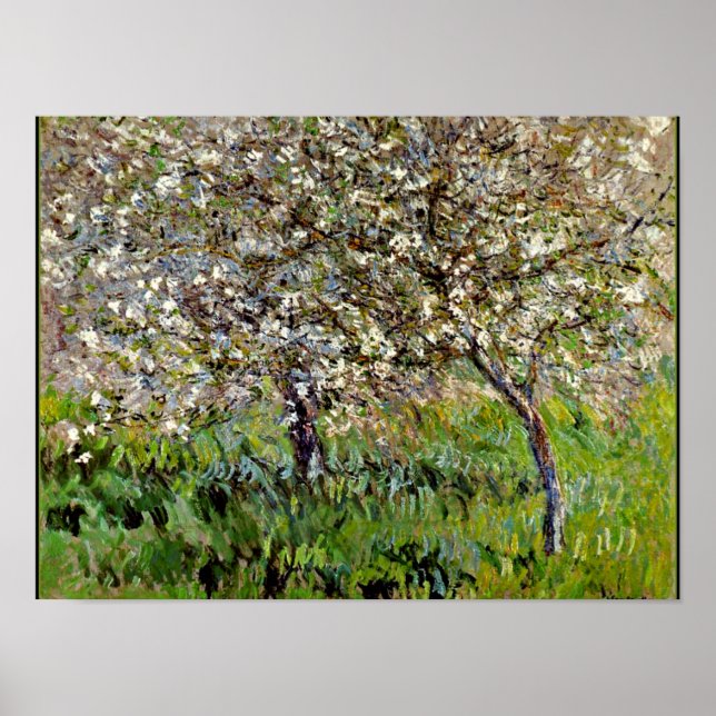 Monet - Äpple Träd i Bloom Poster (Framsidan)