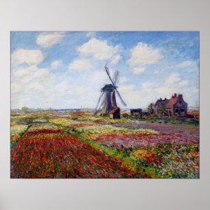 Monet Fält av tulpaner med Kvarn Poster
