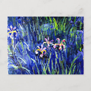 Monet - Irises Vykort