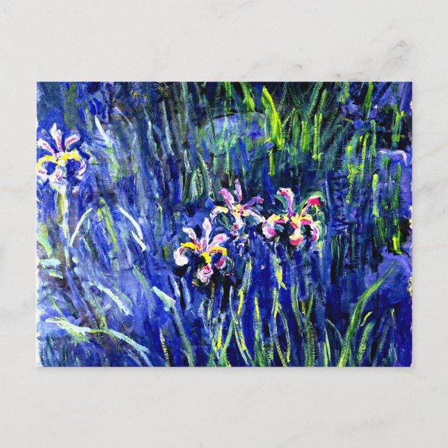 Monet - Irises Vykort (Framsida)