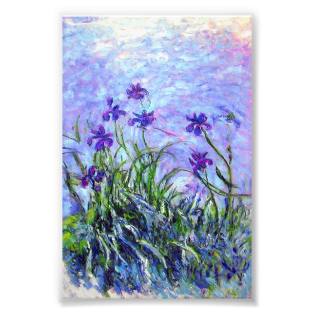 Monet Lilac Irises Fototryck (Framsidan)