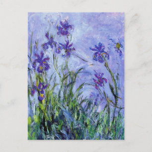 Monet Lilac Irises vykort