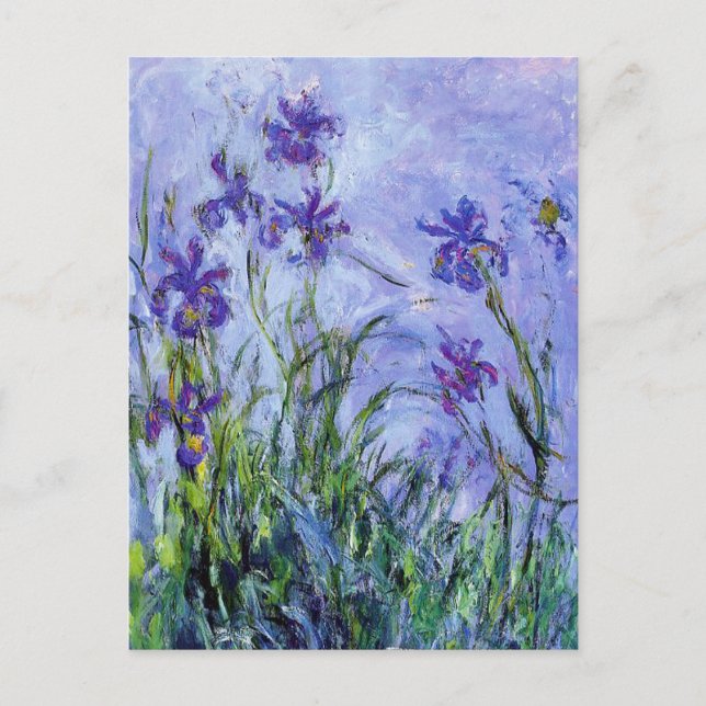 Monet Lilac Irises vykort (Framsida)