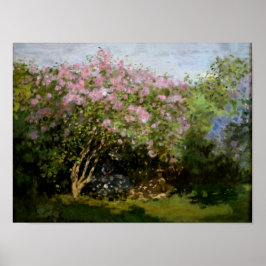 Monet - Lilacs i Sol Poster