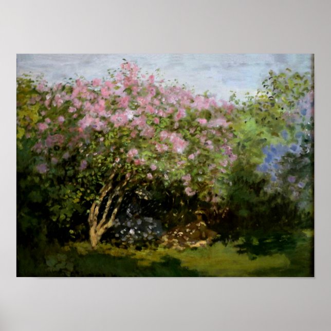 Monet - Lilacs i Sol Poster (Framsidan)
