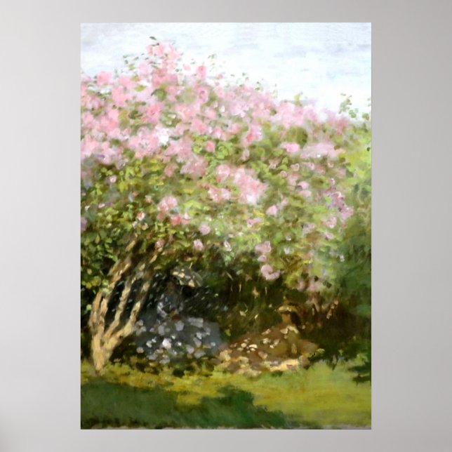 Monet - Lilacs i Sol Poster (Framsidan)