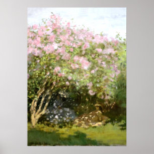 Monet - Lilacs i Sol Poster