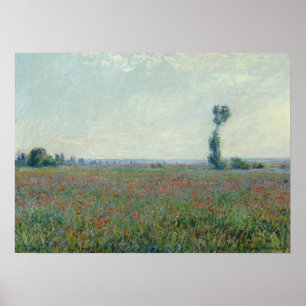 Monet - Poppy Fält Poster