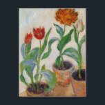 Monet Tre tulippor Vykort<br><div class="desc">Den här blommigten är fortfarande "tre tulippor". Det gjordes mellan 1882 och 1885 av den Fransk konstnären Claude Oscar Monet (1840-1926).
   243 i vår konstserie.</div>