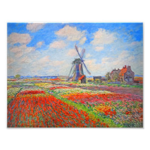 Monet Tulips Kvarn Fototryck