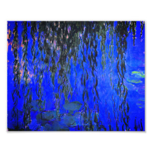 Monet Vatten Lilies och Weeping Willow Grenar Fototryck