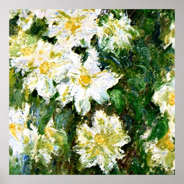 Monet - White Clematis, blommigt av berömd Poster (Framsidan)