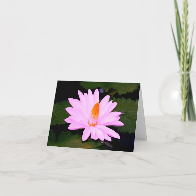 Moneteffekten.. Kort (Framsida)