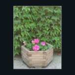 Monets blommor vykort<br><div class="desc">Ett vackert ställe som gav underbar inspiration.</div>