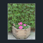 Monets blommor vykort<br><div class="desc">Ett vackert ställe som gav underbar inspiration.</div>